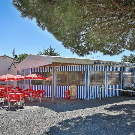 Camping Mobil Avec Terrasse Pour 4 Personnes - Api-1-52-649 Les Achards (Vendee)