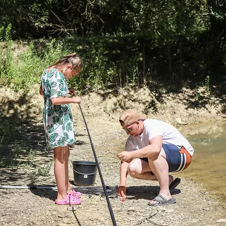 Camping Mobil Avec Terrasse Pour 4 Personnes - Api-1-52-649 *